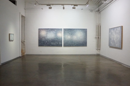 艺术家安德生作品展览现场
艺术家安德生作品展览现场