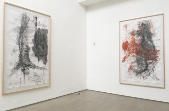 当艺术遇见审查 林冠艺术基金会新展"肉"部分作品被禁止入境