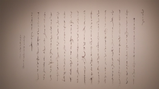 崔斐 《自然的手稿之五》 尺寸可变  藤枝、针 2016
