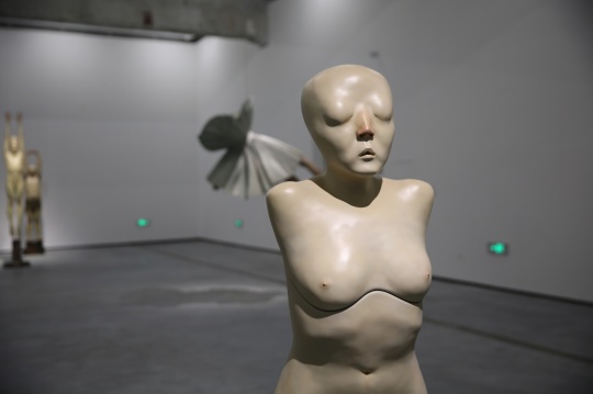 《S》 185×44×59cm 玻璃钢着色 2013-2016
《S》 185×44×59cm 玻璃钢着色 2013-2016