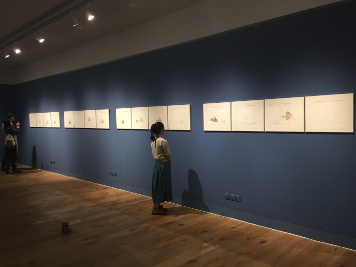 “校尉胡同5号”展览现场
“校尉胡同5号”展览现场