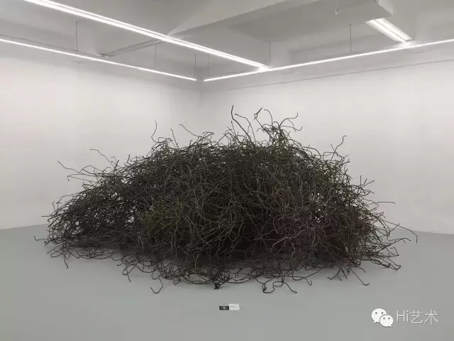 卢征远 《失眠》 尺寸可变 废旧钢筋、夜间发光颜料 2016
卢征远 《失眠》 尺寸可变 废旧钢筋、夜间发光颜料 2016