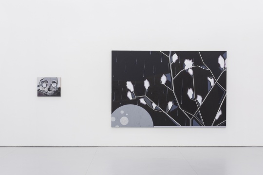 《脸》50x60cm 布面丙烯 2016、《玉兰》 200x300cm 布面丙烯 2016
《脸》50x60cm 布面丙烯 2016、《玉兰》 200x300cm 布面丙烯 2016