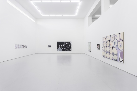 空白空间 高露迪同名个展 展览现场 这间展厅的作品是艺术家对上次个展作品主题的延续，不同的是在色彩中做了强烈的克制。