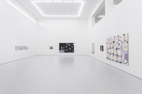 空白空间 高露迪同名个展 展览现场 这间展厅的作品是艺术家对上次个展作品主题的延续,不同的是在色彩中做了强烈的克制。 空白空间 高露迪同名个展 展览现场 这间展厅的作品是艺术家对上次个展作品主题的延续,不同的是在色彩中做了强烈的克制。