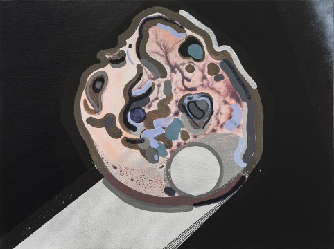 《脑袋》 60x80cm 布面丙烯 2016
《脑袋》 60x80cm 布面丙烯 2016