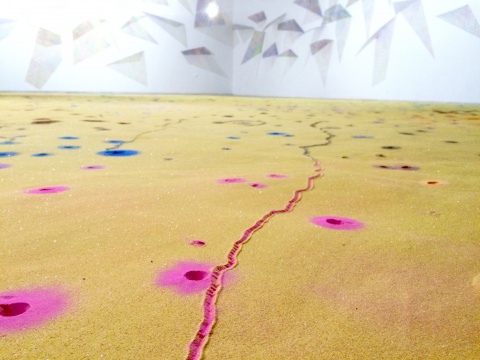 整个展览过程，蚁狮的觅食及移动过程将在沙子中形成不规则的轨迹。
