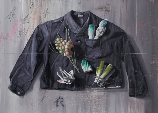《植物学.J-有植物图案的衣服》 53×72cm 布面油画 2016
《植物学.J-有植物图案的衣服》 53×72cm 布面油画 2016