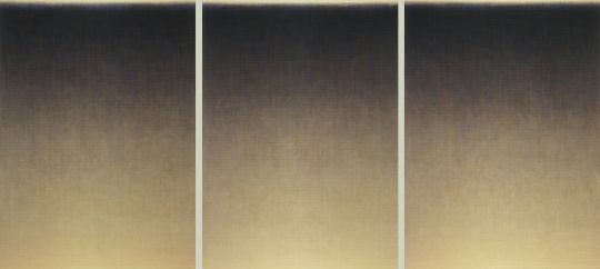 沈忱《Untitled No.53003-14》 168X366cmX3 布面丙烯 2014 沈忱《Untitled No.53003-14》 168X366cmX3 布面丙烯 2014