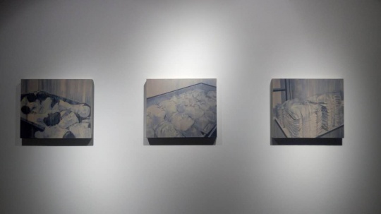 刘影 《同一性》系列 60×50cm(每件) 布面丙烯 2015
刘影 《同一性》系列 60×50cm(每件) 布面丙烯 2015
