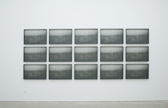 李昶 《池》系列 48×72.3cm×24 丝网版画,4种黑色粉末套色,综合材料手绘 2016
李昶 《池》系列 48×72.3cm×24 丝网版画,4种黑色粉末套色,综合材料手绘 2016