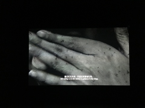 朱昶全 &nbsp;《移植》 5分46秒 单屏高清录像 2015
