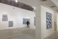 李迪个展“纵横”东京画廊，每张作品都是一次冒险,李迪