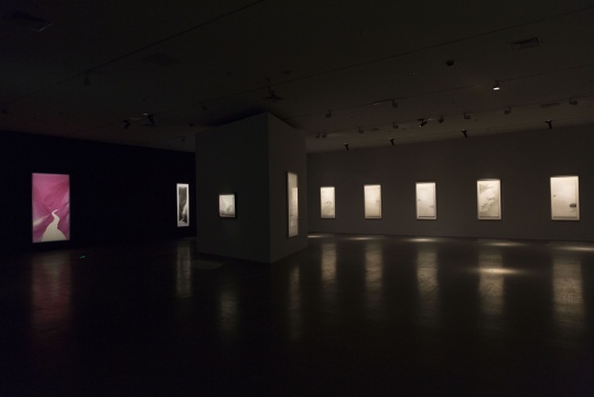 展览现场
展览现场