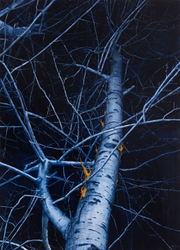 陈家业《夜No.2》180cmx130cm 布面油画 2016
陈家业《夜No.2》180cmx130cm 布面油画 2016