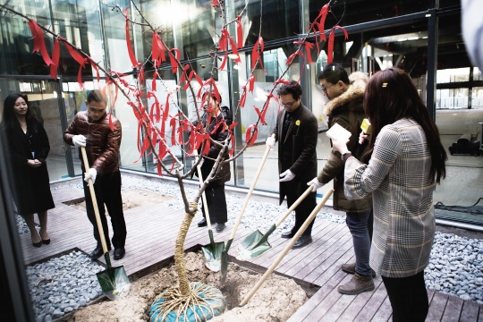 艺术家们现场嘉宾将红丝带系在海棠树上。海棠意喻着爱，寓意着“我们”，这也是WE