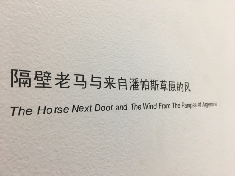 《隔壁老马与来自潘帕斯草原的风》 局部
《隔壁老马与来自潘帕斯草原的风》 局部