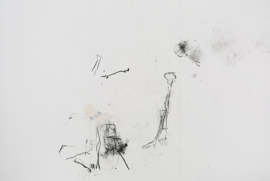 《骨密度》138X207cm 水墨 2016
《骨密度》138X207cm 水墨 2016