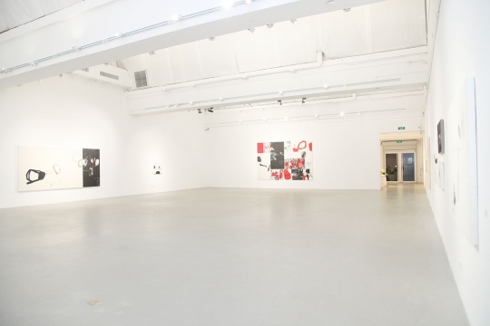 成当代艺术中心的朱岚个展现场
成当代艺术中心的朱岚个展现场