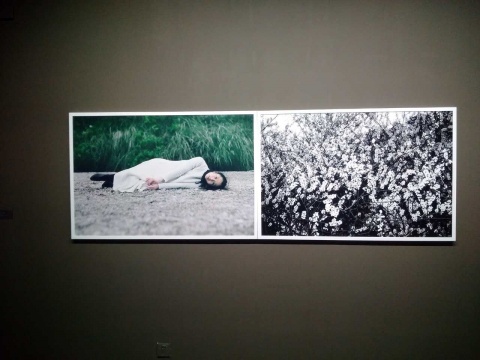 展览通道墙上还展出了陈秋林的摄影作品，图为《繁花》
