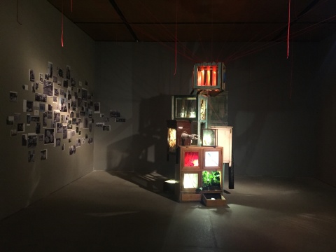 邱宇 《增生计划》 综合材料 260×130×130cm  2016

