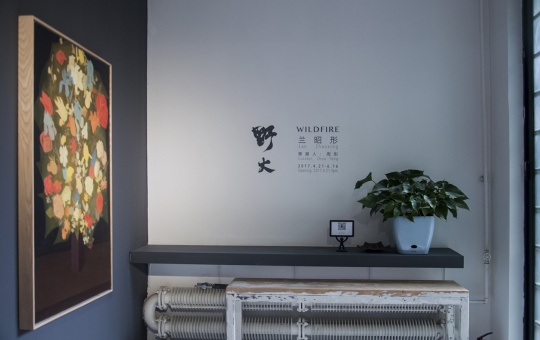 “兰昭形:野火”展览现场
“兰昭形:野火”展览现场