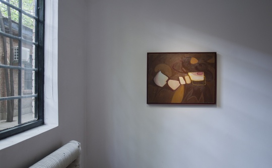“兰昭形:野火”展览现场
“兰昭形:野火”展览现场