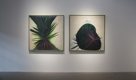 “兰昭形:野火”展览现场
“兰昭形:野火”展览现场