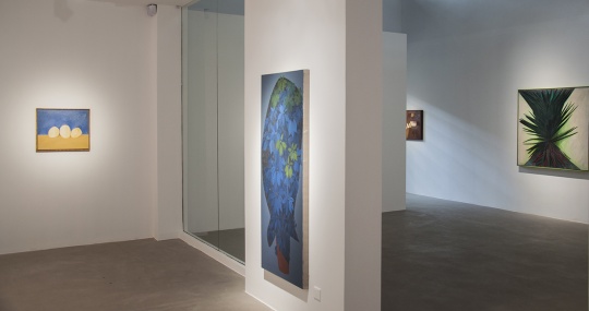 “兰昭形:野火”展览现场
“兰昭形:野火”展览现场