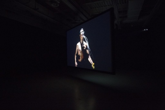 展览现场
展览现场