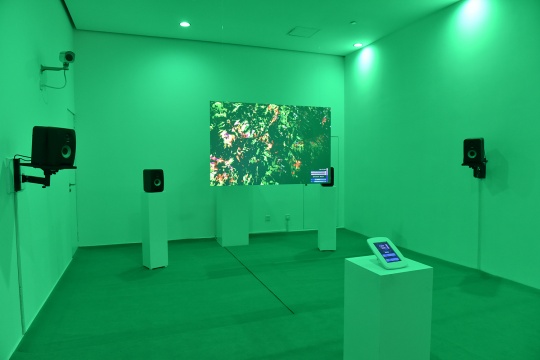 皮埃尔-阿兰·雅弗雷努《绿色声音》尺寸可变 智能手机与多媒体互动装置 2015-2016
