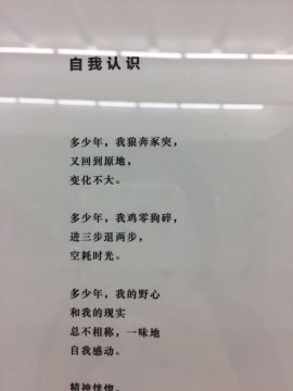 "就此别过,重新做人" 韩东与刘鼎双个展在魔金石开幕