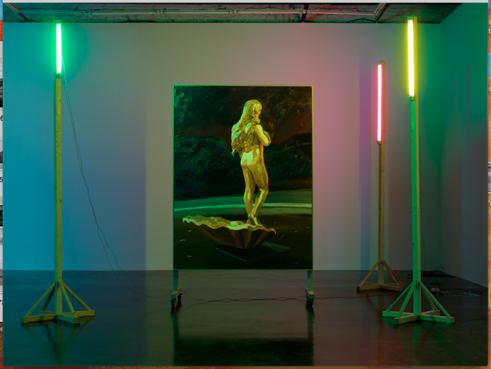 仇晓飞 《奥特莱斯的维纳斯》 480×470×358 cm 布面油画、灯光、木 2013
