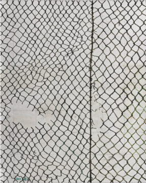 张恩利 《铁网4号》 249.8×199.8cm 油画画布 2011

成交价：175万港元

&nbsp;

&nbsp;

70后艺术家尹朝阳此次一件《失乐园4号》的作品进入夜场。关于这件拍品，资深市场专家伍劲曾在拍卖之前发了一条朋友圈：“到现在为止，大概过去了15年……这幅画当时卖了3万元。”历时15年后，这件作品以175万港元成交。
