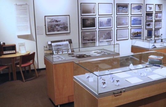 Adele Jackson 在南极举办双年展是一种怎样的体验 Adele Jackson 在南极举办双年展是一种怎样的体验