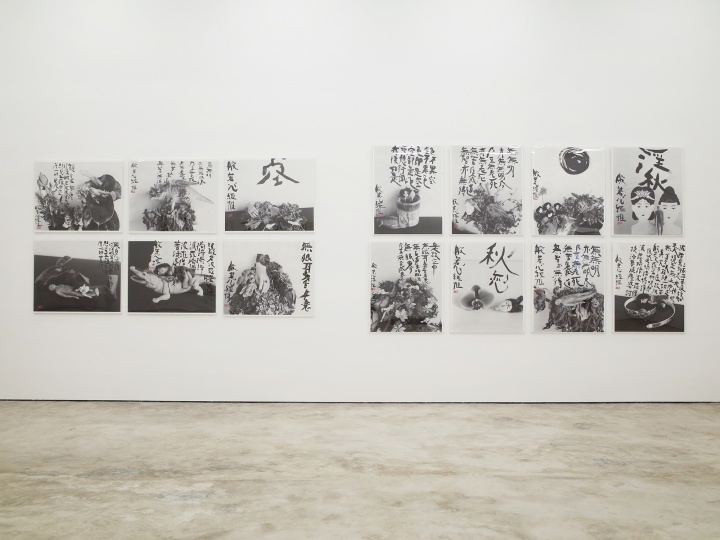 亦安画廊迁址七棵树之后的首个展览“荒木经惟·朱新建——天上大风”展览现场（©️亦安画廊）

 

 

Hi：怎么感觉你对环境这么悲观呢？

张：我不是悲观，我不会盲目乐观。做好自己的事情就行了，别人热闹是他的事情。我也算是经历过很多事，别人做的好对我就学习学习，提高自身的业务能力就好了。
