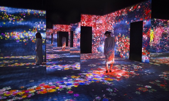 teamLab《花之森林,迷失、沉浸与重生》互动数字装置,无限变化,声音:高桥英明 2017
teamLab《花之森林,迷失、沉浸与重生》互动数字装置,无限变化,声音:高桥英明 2017