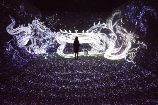 teamLab 《被追逐的八咫乌,追逐同时亦被追逐的八咫乌,超越空间》互动数字装置 4分20秒 声音:高桥英明 2017
teamLab 《被追逐的八咫乌,追逐同时亦被追逐的八咫乌,超越空间》互动数字装置 4分20秒 声音:高桥英明 2017