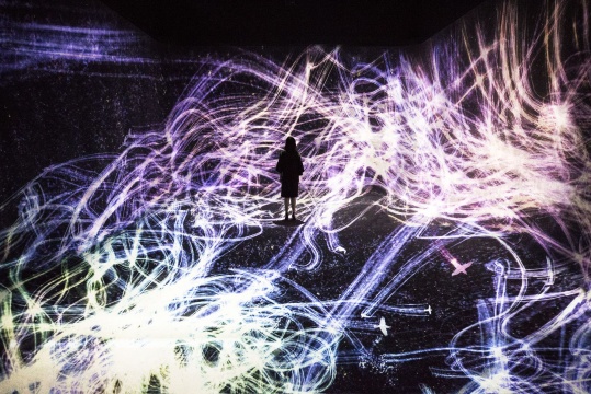 teamLab 《被追逐的八咫乌,追逐同时亦被追逐的八咫乌,超越空间》互动数字装置 4分20秒 声音:高桥英明 2017
teamLab 《被追逐的八咫乌,追逐同时亦被追逐的八咫乌,超越空间》互动数字装置 4分20秒 声音:高桥英明 2017