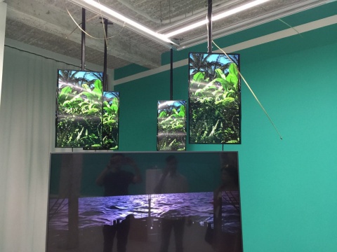《风吹动的植物》 多频HD视频 2017
《风吹动的植物》 多频HD视频 2017