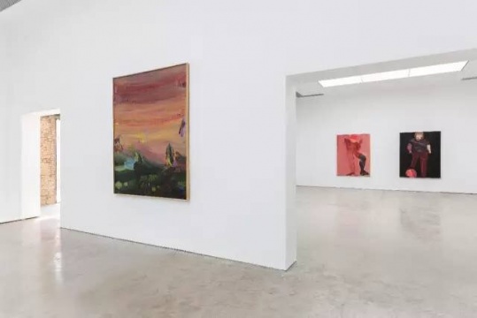 涉险的快感 马轲、徐赫、赵银鸥三人展览于N3画廊开幕 涉险的快感 马轲、徐赫、赵银鸥三人展览于N3画廊开幕