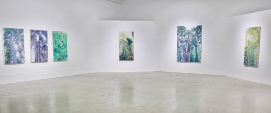 “朝晖夕阴”后的“含道暎物” 空间站蒋国蓉个展开幕 “朝晖夕阴”后的“含道暎物” 空间站蒋国蓉个展开幕