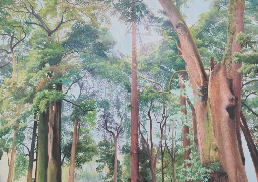 《苍翠》150x210cm 布面油画 2015
《苍翠》150x210cm 布面油画 2015