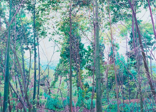《郊外》150X210CM 布面油画 2012
《郊外》150X210CM 布面油画 2012