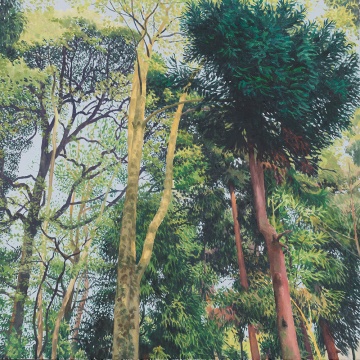 《小品6》50x50cm 布面油画 2016
《小品6》50x50cm 布面油画 2016