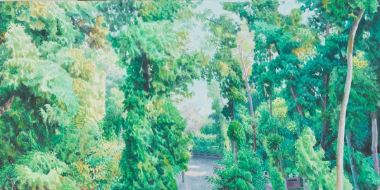 《小树林4 》 50x100cm 布面油画 2016
《小树林4 》 50x100cm 布面油画 2016