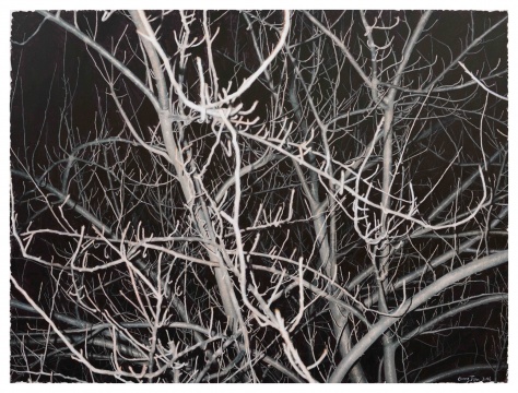 龚剑《看这颗灰色的树 #12》 170x230cm 布面丙烯 2016
龚剑《看这颗灰色的树 #12》 170x230cm 布面丙烯 2016