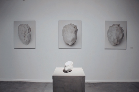 《头颅心脏》雕塑及摄影作品 2016
