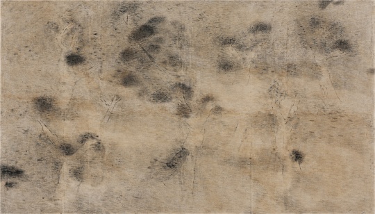 《隐山集-六月十四》 140x245cm 布面综合材料 2017
《隐山集-六月十四》 140x245cm 布面综合材料 2017