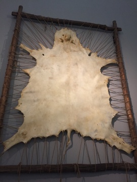 《皮毛而已》 300×450cm 牛皮、木头 2017 《皮毛而已》 300×450cm 牛皮、木头 2017